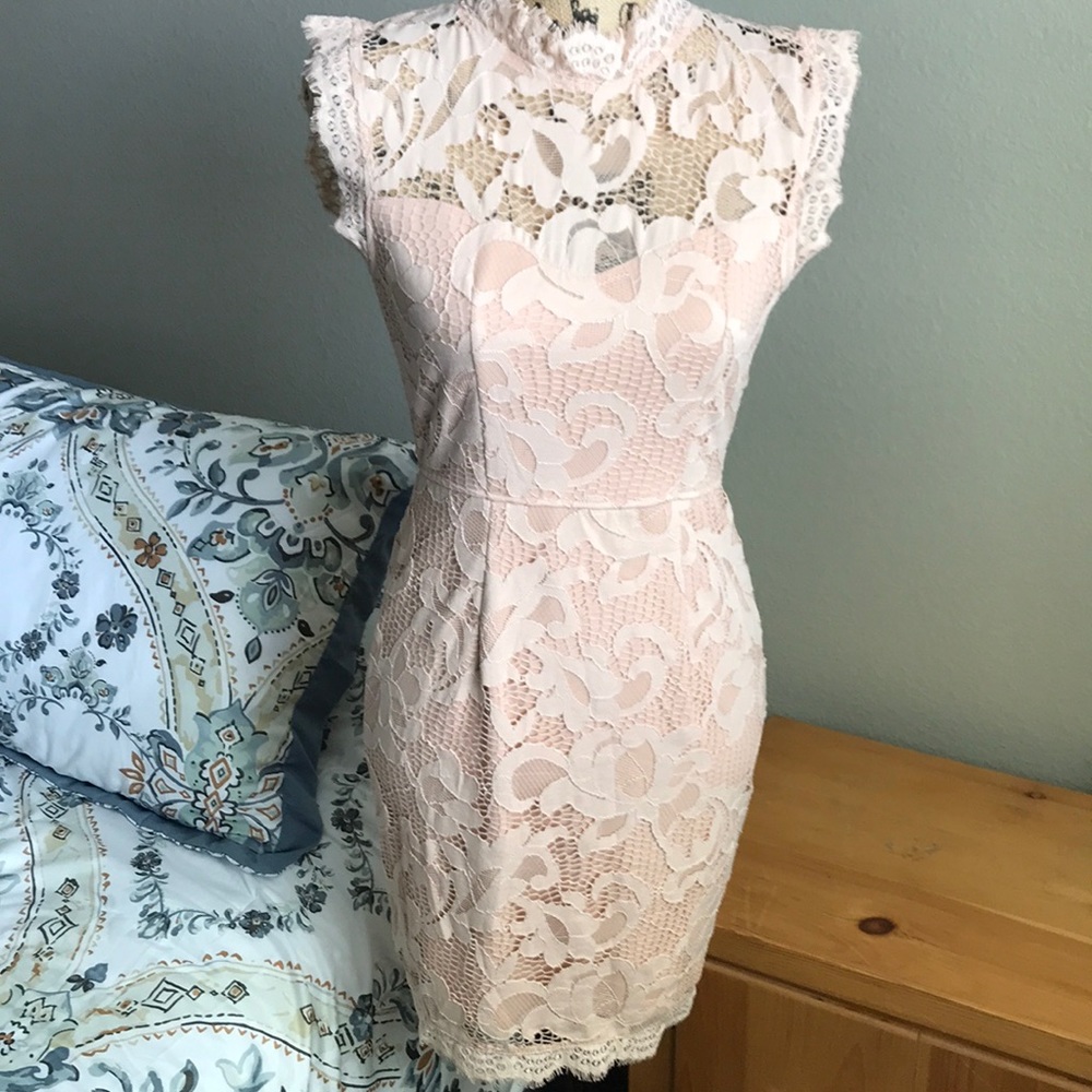 Sans Souci Blush Pink Lace Dress